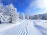Прогноз погоды на 20 января