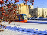 Раштуа бәйрәмендә транспортның эш графигы