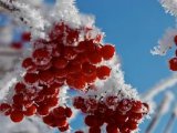 Прогноз погоды в Набережных Челнах на 23 января