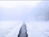 Татарстан Республикасы территориясендә томан көтелә