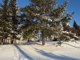 Погода в Набережных Челнах на 13 февраля