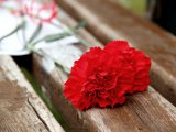 Яр Чаллыда тарих буенча хәрби онлайн-викторина җиңүчеләрен игълан иттеләр
