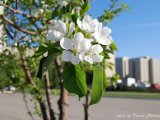 Прогноз погоды на 17 мая