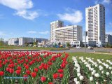 В Татарстане вновь прогнозируется гроза и сильный ветер