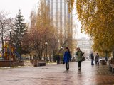 В Татарстане в отдельных районах вновь ожидается туман