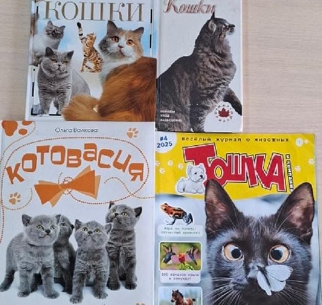 «Песиләр: Мисыр пирамидаларыннан җылы тәрәзә төбенә кадәр» лекциясе