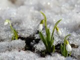 Прогноз погоды на 1 марта