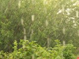 Погода в Набережных Челнах на 4 сентября