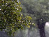 Прогноз погоды в Набережных Челнах на 31 июля