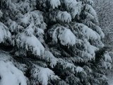Һава торышы фаразы