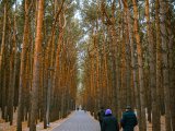 Прогноз погоды на 21 ноября