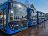 Автобусы большой вместимости проходят техосвидетельствование
