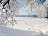 Һава торышы фаразы