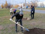 В Набережных Челнах высадили почти 13 тысяч деревьев и кустарников