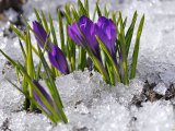 0..-4˚ прогнозируется в Набережных Челнах