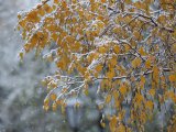 Прогноз погоды в Набережных Челнах на 9 ноября