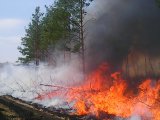 Урманнарда гадәттән тыш янгын куркынычы