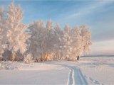 Прогноз погоды в Набережных Челнах на 17 января