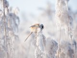 24 февральгә һава торышы фаразы