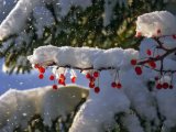 Прогноз погоды на 21 февраля