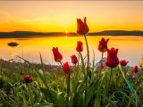 В Набережных Челнах прогнозируется +27..+31˚