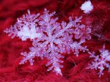 Прогноз погоды на 11 февраля