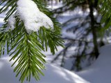 Прогноз погоды в Набережных Челнах на 18 января