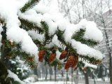 Погода на 28 декабря