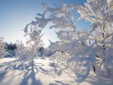 Төнге һава температурасы -18.. -20˚ тәшкил итәчәк