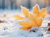 Прогноз погоды на 17 ноября