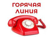 «Мәрхәмәт-Милосердие» кайнар линия оештыра