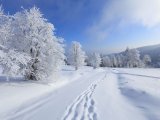 Прогноз погоды в Набережных Челнах на 21 декабря