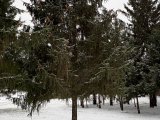 Һава торышы фаразы