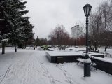 Для людей с ограниченными возможностями здоровья организована горячая линия