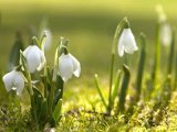Прогноз погоды на 19 марта