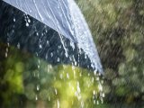 Кратковременный дождь прогнозируют в Набережных Челнах