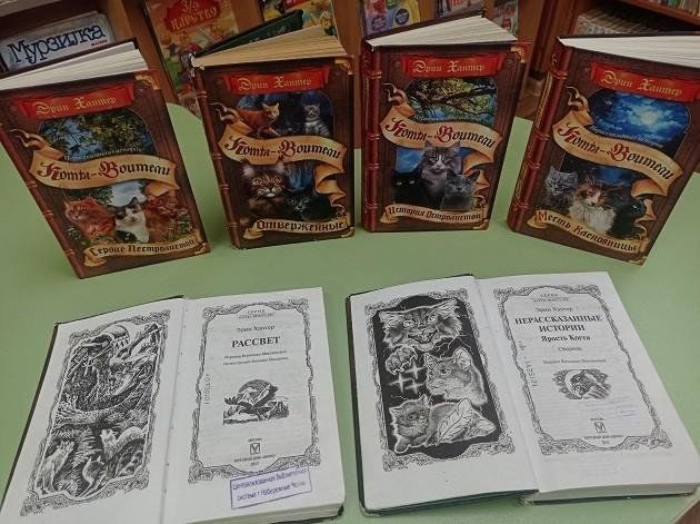 Book exhibition 