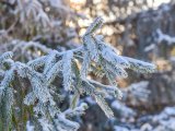 Яр Чаллыда 24 февральгә һава торышы