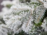 Прогноз погоды в Набережных Челнах на 18 декабря