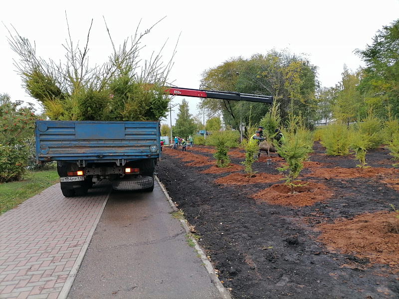 Чаллылылар миләш, чыршы һәм карагачлар утырттылар