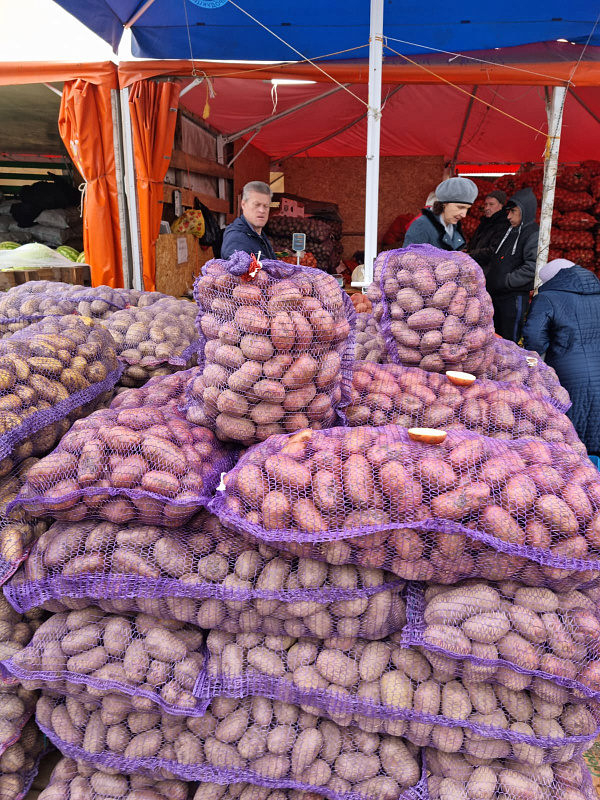 На челнинские ярмарки завезли свыше 1300 тонн продукции