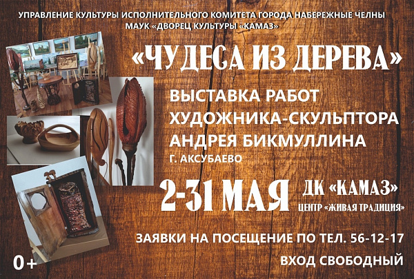 Скульптор рәссам "Агачтан могҗизалар" күрсәтәчәк