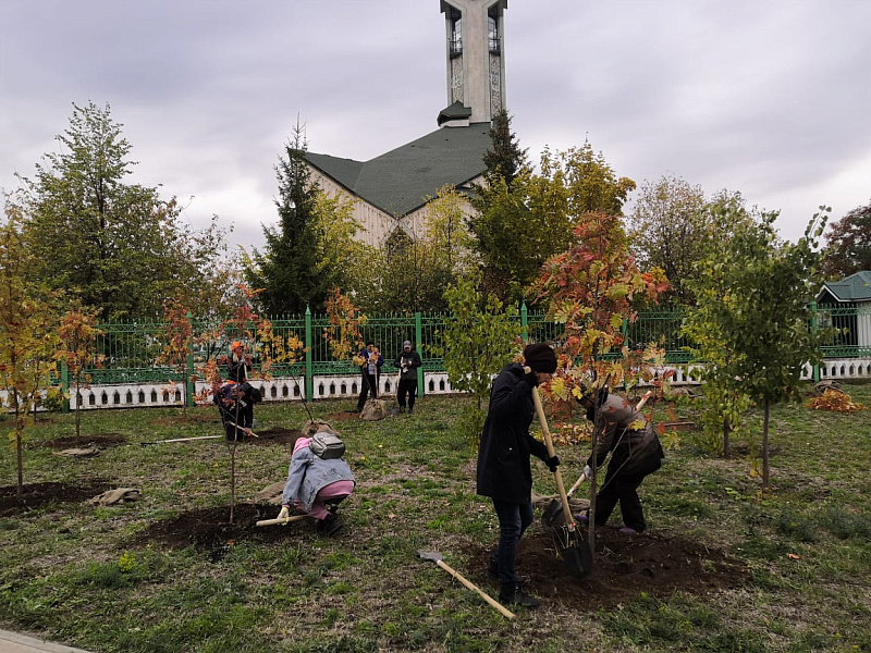 Чаллылылар миләш, чыршы һәм карагачлар утырттылар