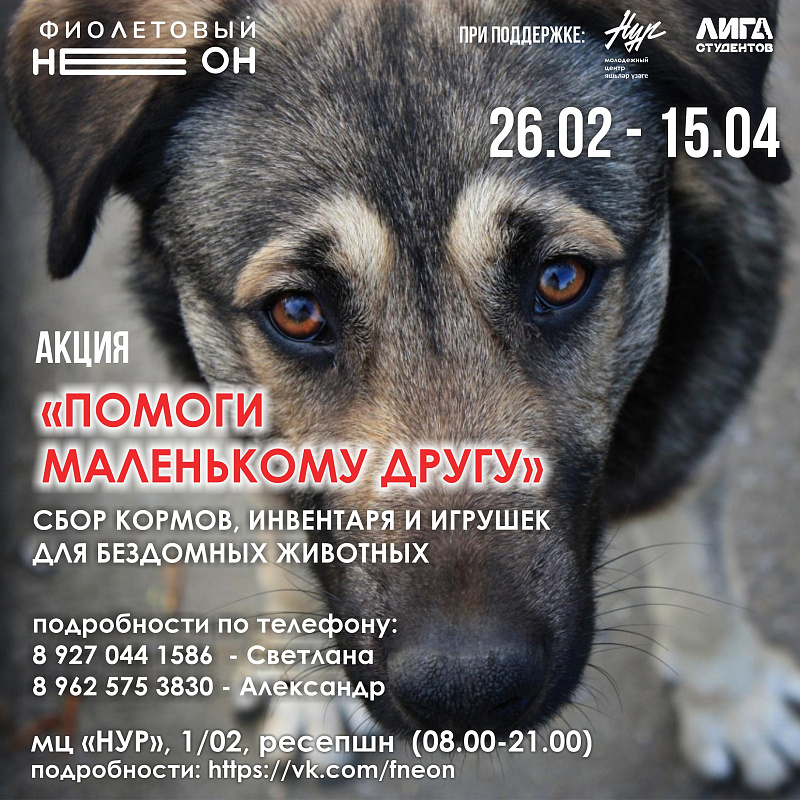 В Челнах стартовала акция «Помоги маленькому другу»