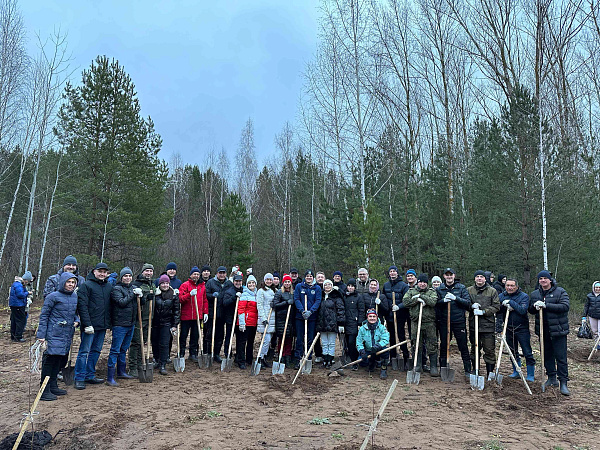 В трех районах Челнов прошел субботник