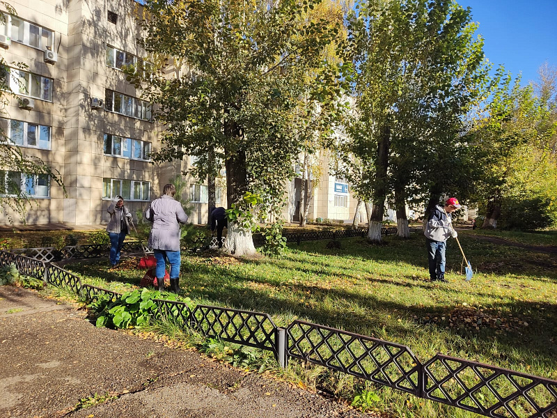 В Набережных Челнах прошел общегородской субботник