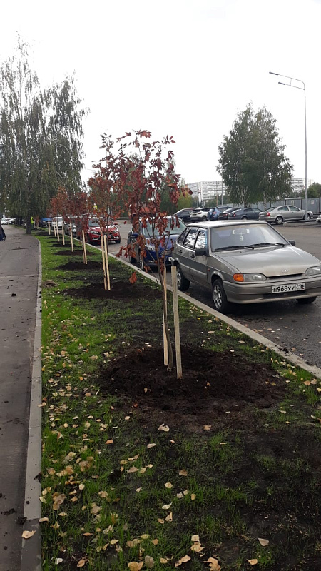 Обновленную дорогу на Шамиля Усманова благоустроили
