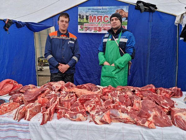 Чаллы ярминкәләренә 1300 тоннадан артык продукция китерелде