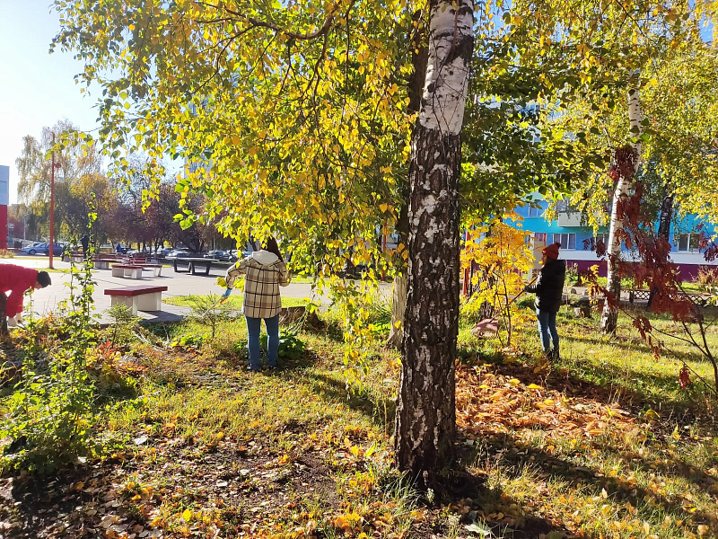 В Набережных Челнах прошел общегородской субботник