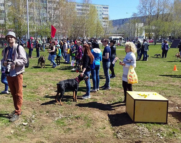 Челнинцы представят в Москве проекты благоустройства дворов